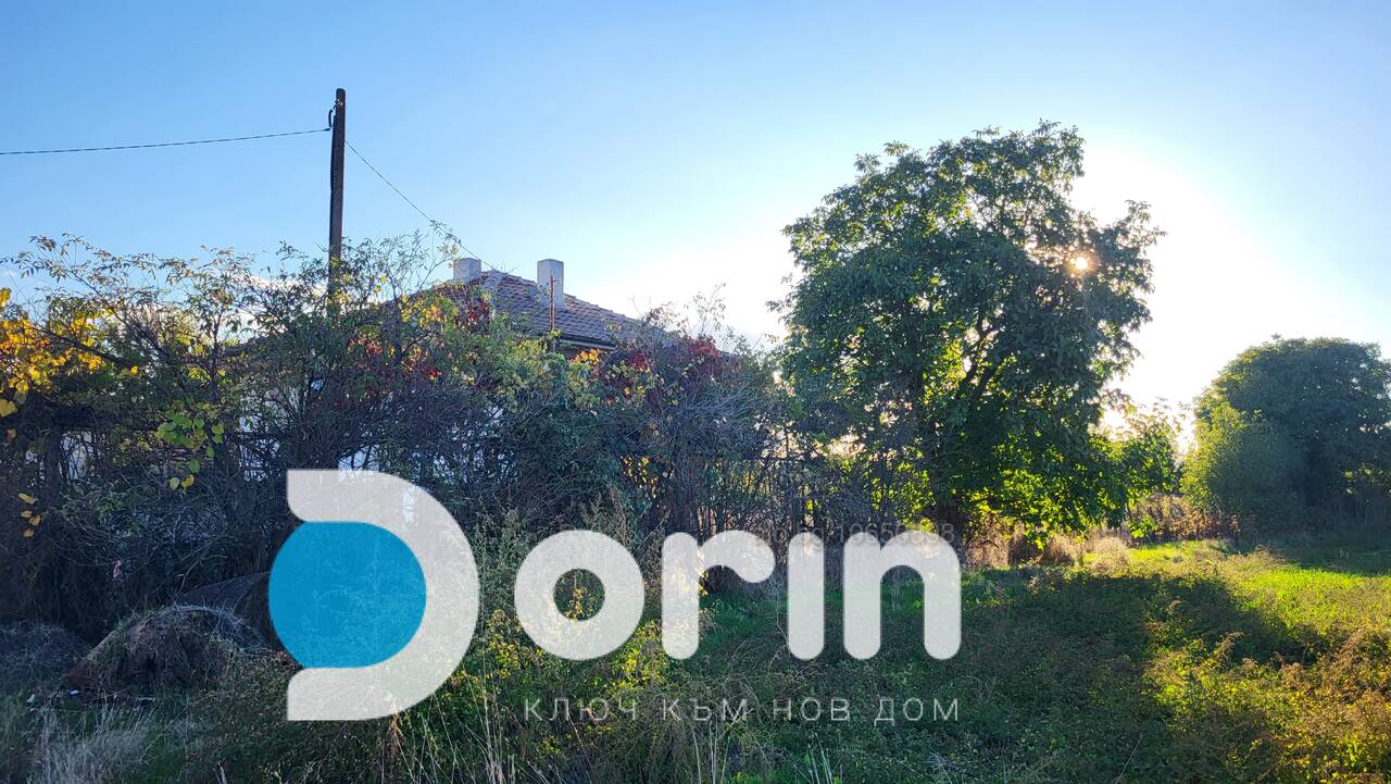 Миниатюра 4